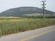 Thumbs/tn_Israel_Day3 003 MtTabor1.jpg